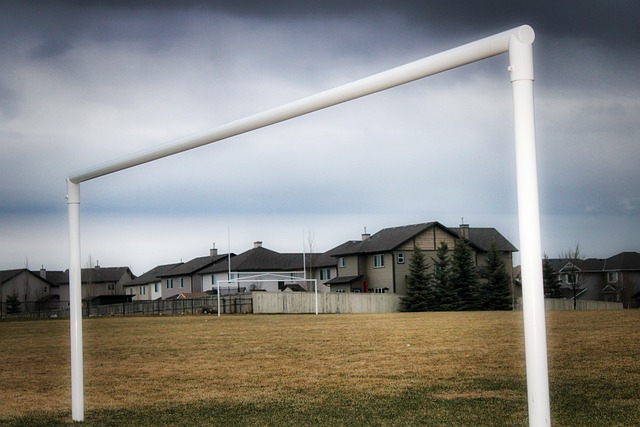 东契奇因伤 东契奇因伤