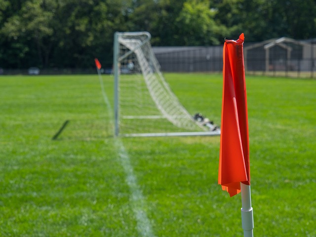 起伏不定 起伏不定